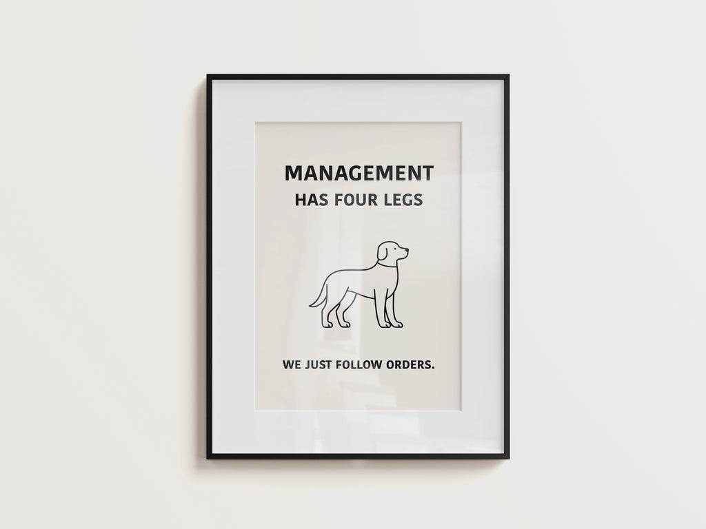 Management Has Four Legs